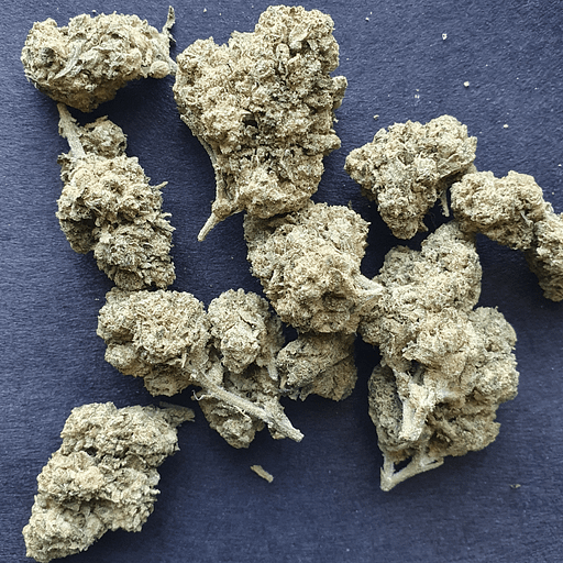 Jealousy x Banana Cream Cake THCa Hemp Flower Barn Burner Hemp Co.