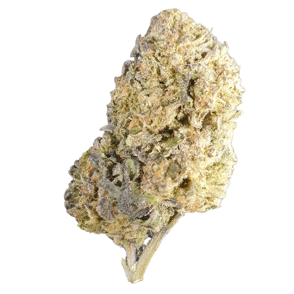 Jealousy X Banana Cream Cake Thca Hemp Flower Barn Burner Hemp Co